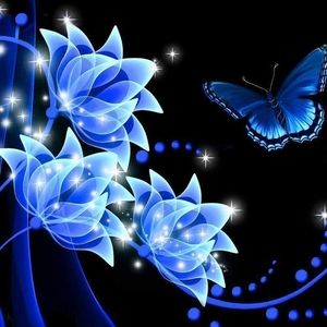 Meet your Posher, Heidi